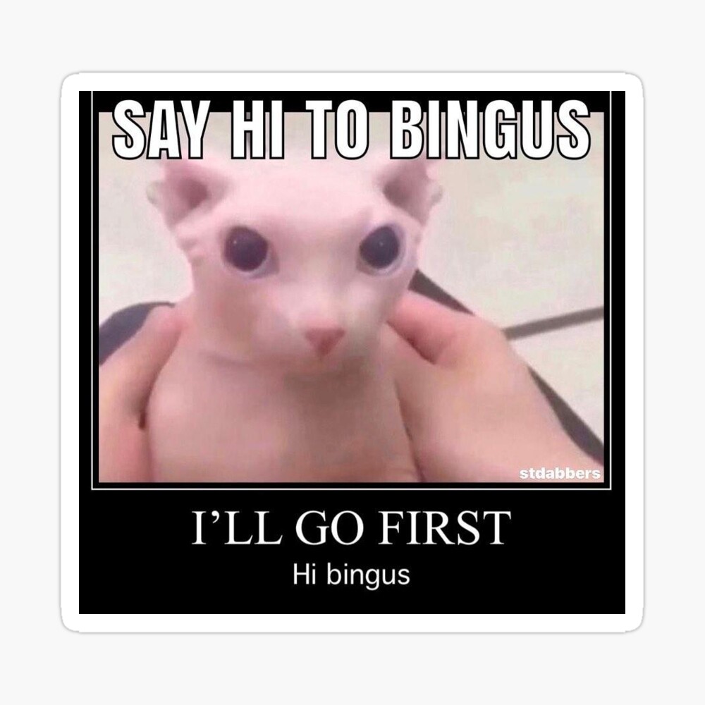 Reply to this thread and I'll tell you where you are on the Bingus