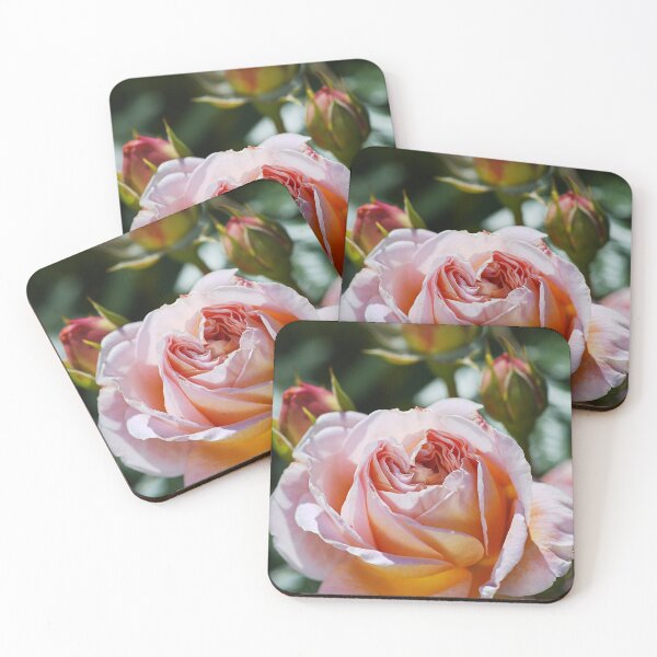 Item preview, The Abraham Darby Rose designed and sold by Joy Watson - Natural Light Photography .