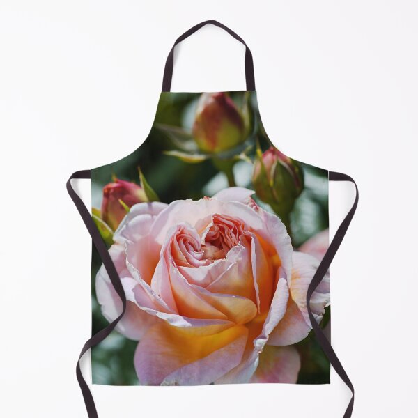 Item preview, The Abraham Darby Rose designed and sold by Joy Watson - Natural Light Photography .