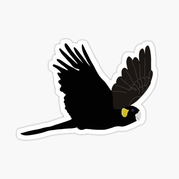 Item preview, Black cockatoo designed and sold by Old Friends Pet Portraits.
