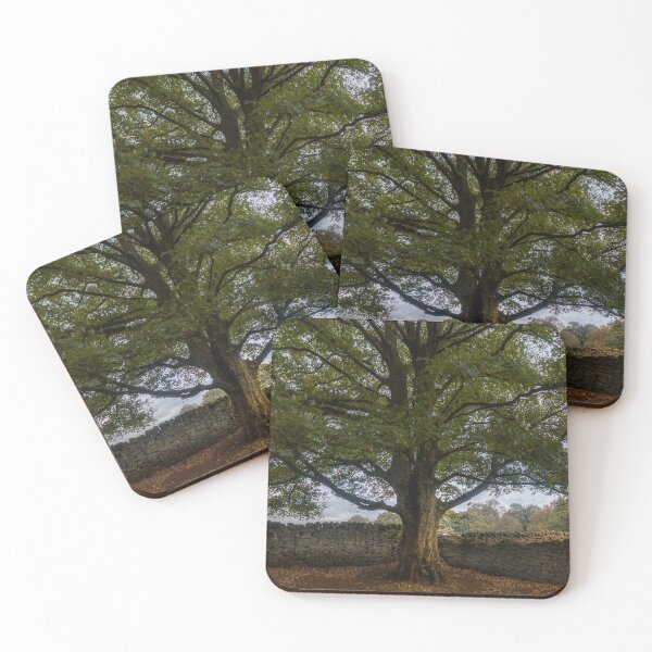 Item preview, Guardian of the Wall - A fine art photograph of an oak in an ancient forest designed and sold by AndyDoughty.