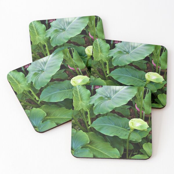 Item preview, Arum Lily designed and sold by WinterRabbitArt.