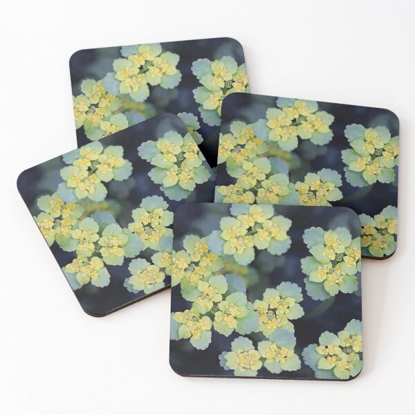 Item preview, Golden Saxifrage designed and sold by DreamLand-Media.