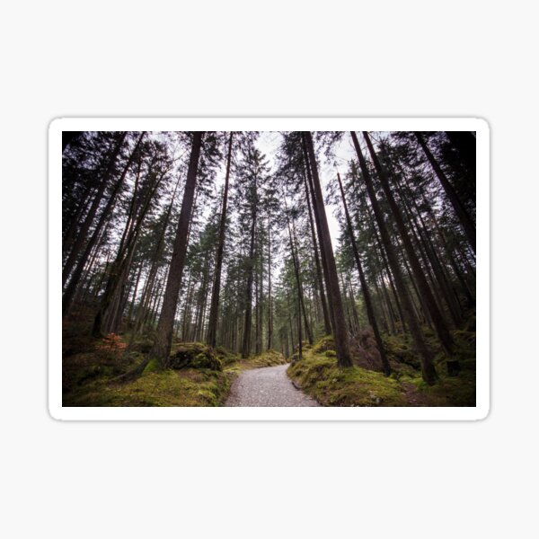 Bavarian Alps Path - 2/4 Sticker