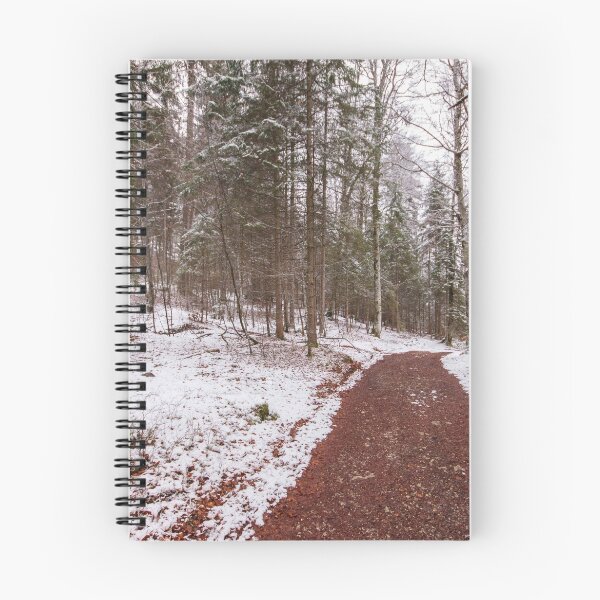 Item preview, Bavarian Alps Path - 3/4 designed and sold by Luka Skracic.