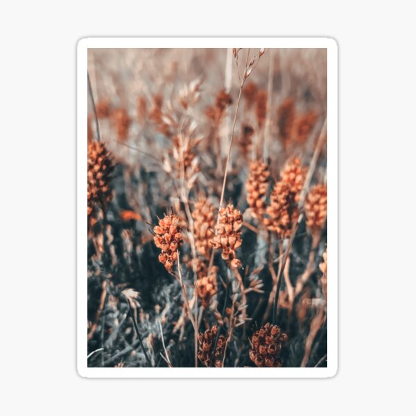 "RoseGold Flower" Sticker for Sale by didssphprints Redbubble