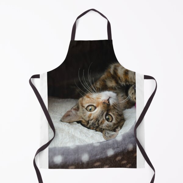 Item preview, kitten in house, whiskers and cute in lockdown. designed and sold by sandyprints.