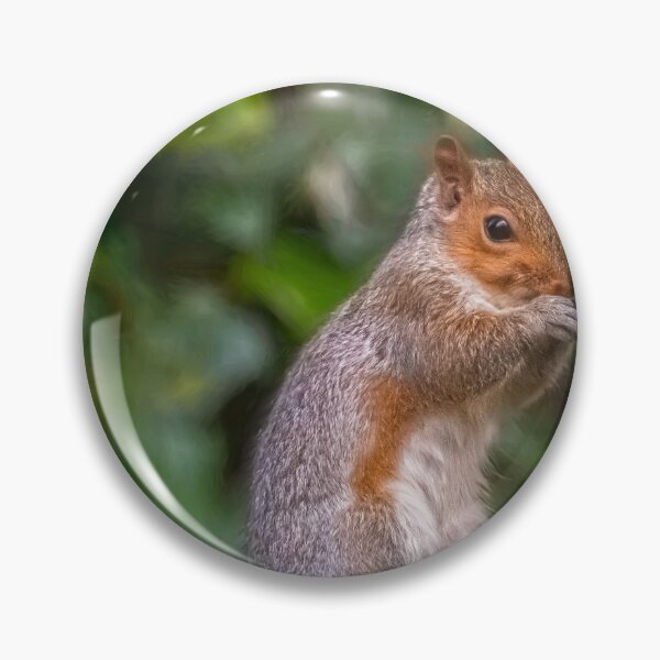 Item preview, Cyril the Squirrel designed and sold by AJEvans.