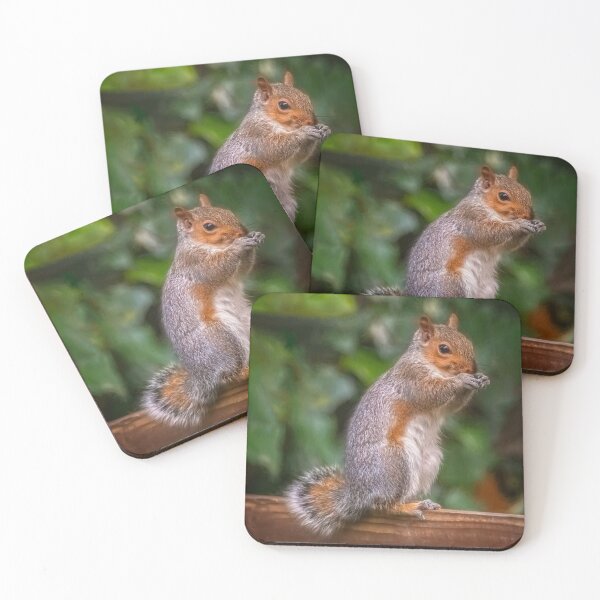 Item preview, Cyril the Squirrel designed and sold by AJEvans.
