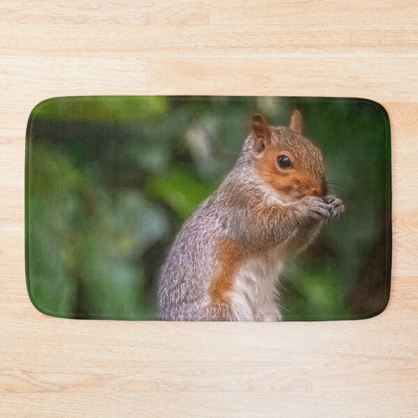 Item preview, Cyril the Squirrel designed and sold by AJEvans.