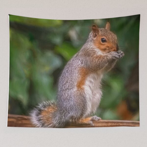 Item preview, Cyril the Squirrel designed and sold by AJEvans.