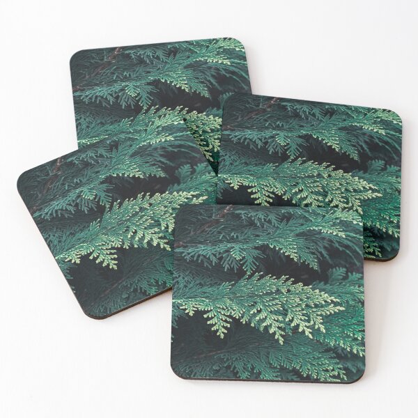Item preview, Evergreen Tree Leaves  designed and sold by didssph-prints.