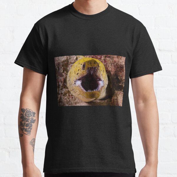 Fimbriated Moray, Mabul, Malaysia Classic T-Shirt