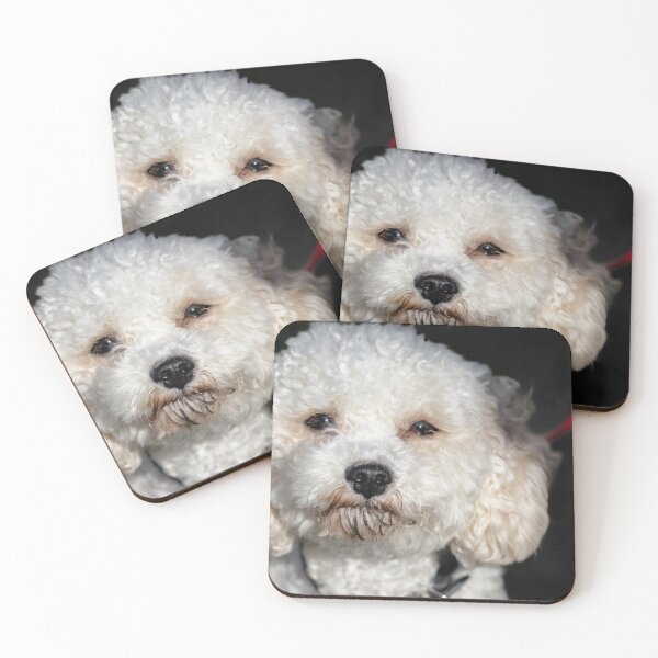 Item preview, Cavachon. designed and sold by John Ray.