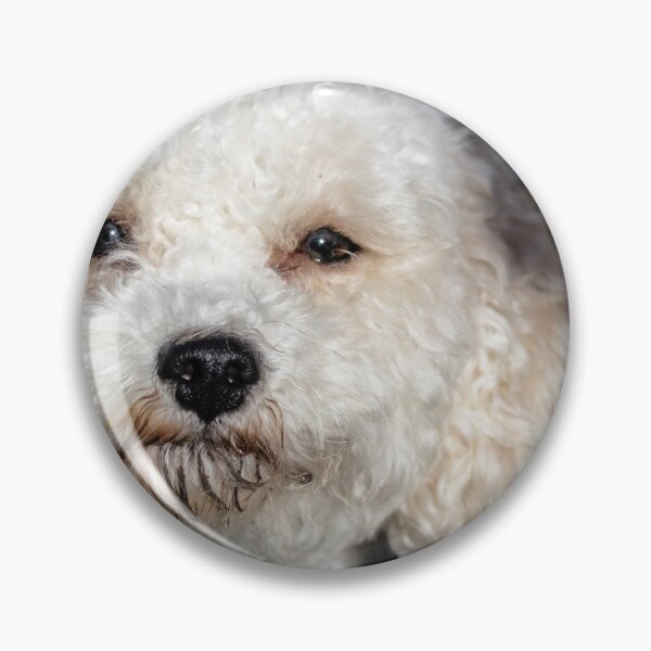 Item preview, Cavachon. designed and sold by John Ray.