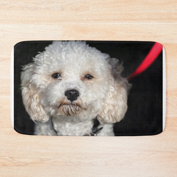 Item preview, Cavachon. designed and sold by John Ray.