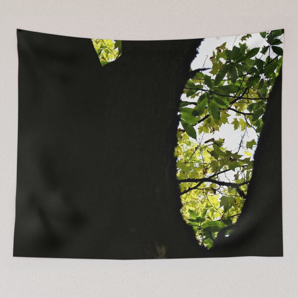 Item preview, Silhouette Plane Tree Foliage Branches Closeup designed and sold by worldways.