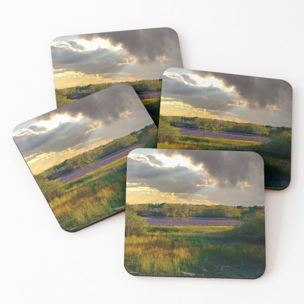 Item preview, Black Water Pond designed and sold by GlassCanvas.