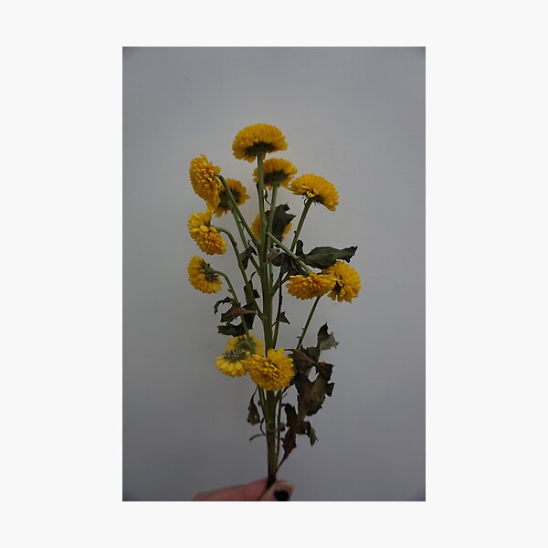 Item preview,  Flowers designed and sold by textilestalk.