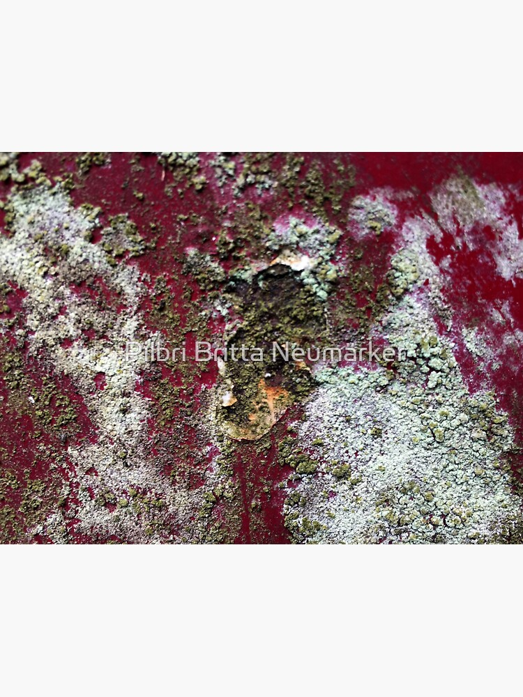 Beautyful Rust 3 Pilbri von pilbri2018