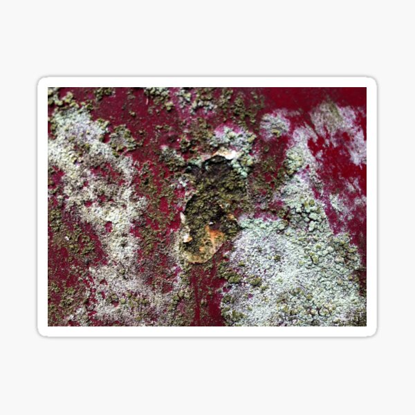 Beautyful Rust 3 Pilbri Sticker