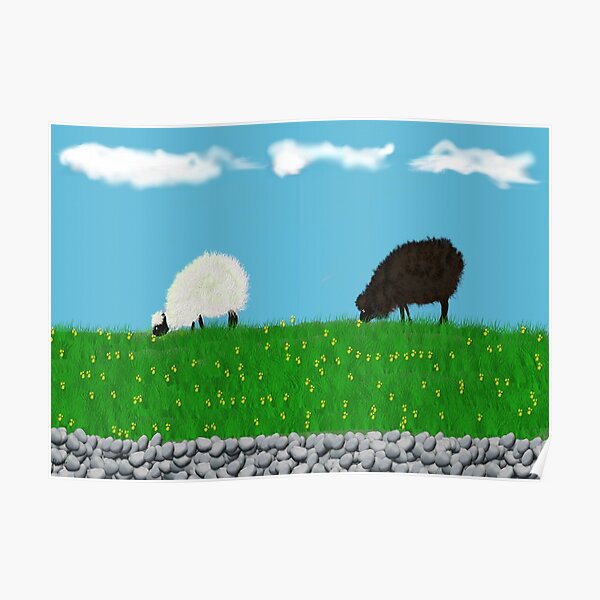 One black one white sheep grazing in the meadow Poster