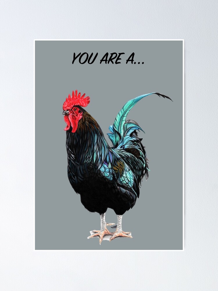RUDE COCKEREL SLOGAN - COCKEREL SLOGAN - COCKEREL - COCKEREL FUNNY - ROOSTER FUNNY - ROOSTER RUDE COCKEREL SLOGAN - COCKEREL SLOGAN - COCKEREL - COCKEREL FUNNY - ROOSTER FUNNY - ROOSTER
