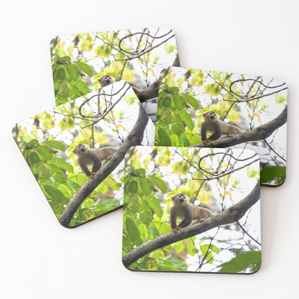 Item preview, "Wild Monkey" designed and sold by remote-travel.