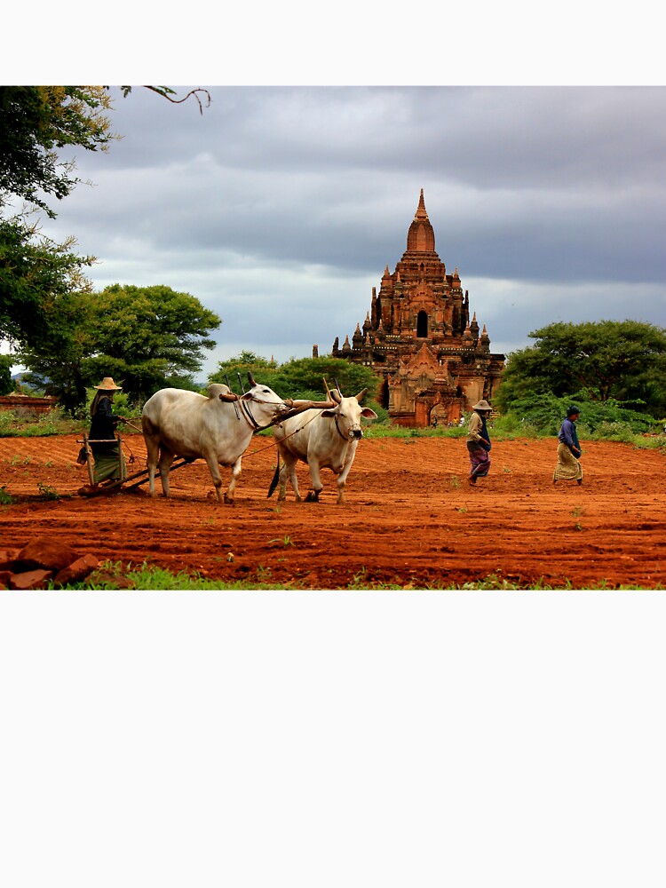 Thumbnail 7 of 7, Classic T-Shirt, "Burmese Ancient Temples Bagan" designed and sold by remote-travel.