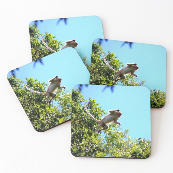 Item preview, "Rainforest Wildlife" designed and sold by remote-travel.