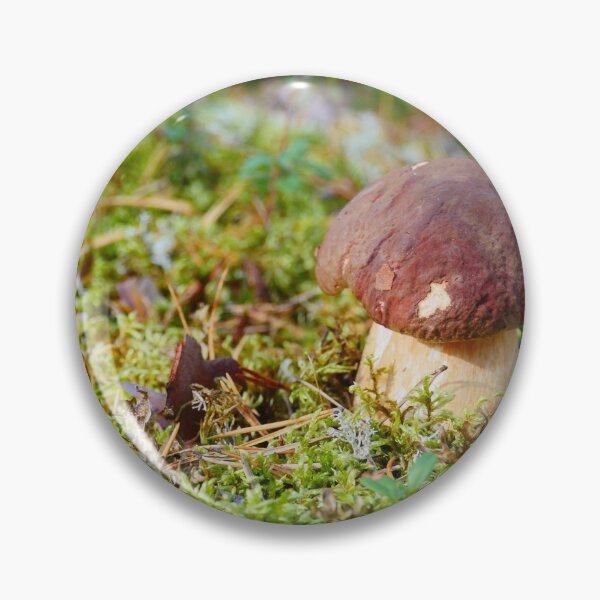 Item preview, porcini mushrooms in a pine forest  designed and sold by mrivserg.