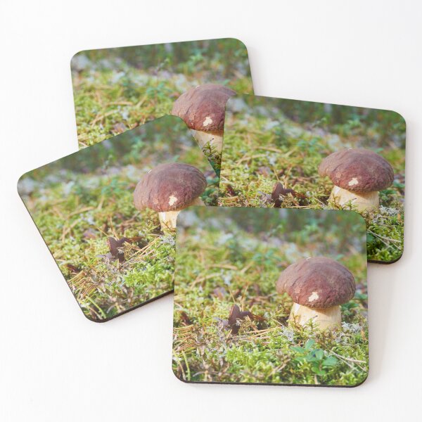Item preview, porcini mushrooms in a pine forest  designed and sold by mrivserg.