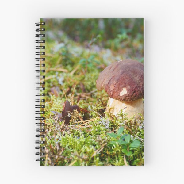 Item preview, porcini mushrooms in a pine forest  designed and sold by mrivserg.