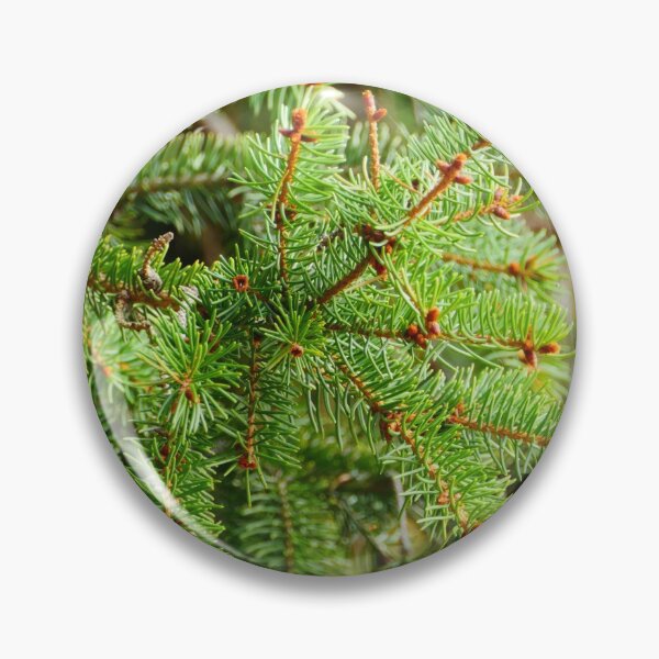 Item preview, spruce branch with green coniferous needles  designed and sold by mrivserg.