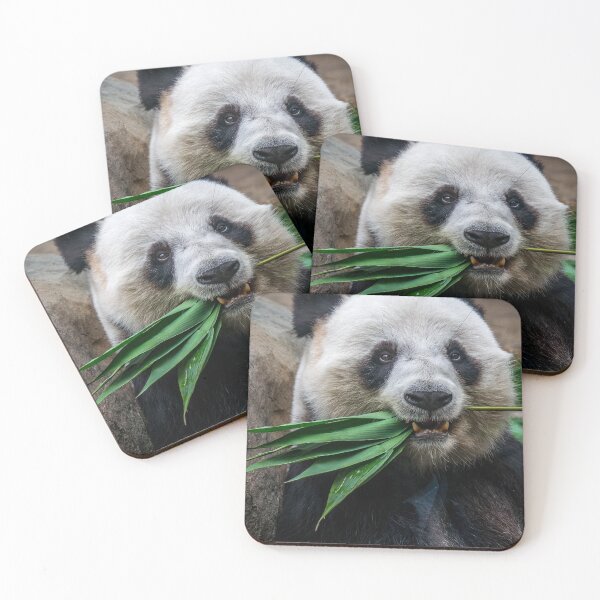Item preview, Panda eating bamboo designed and sold by KevinVee.