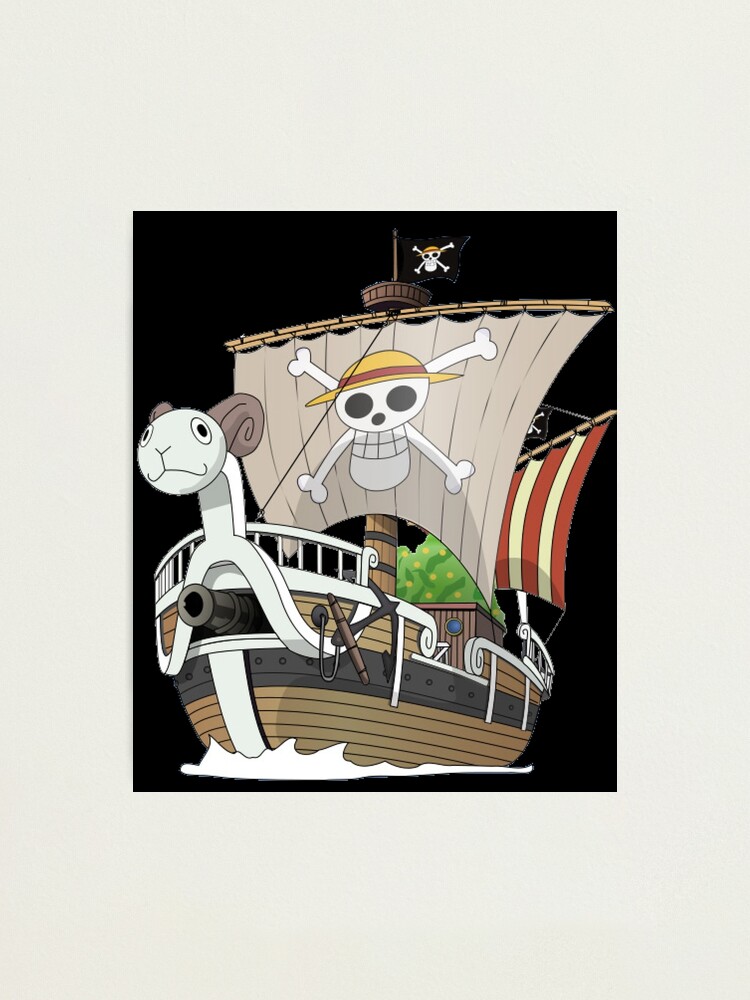 One Piece Anime YonKo Pirate King manga flag Straw Photographic