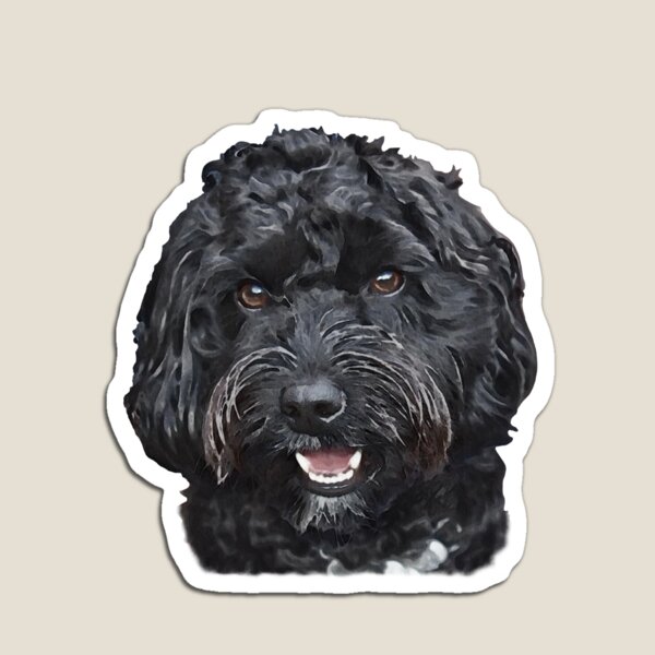 Black Doodle / Cockapoo Dog Magnet