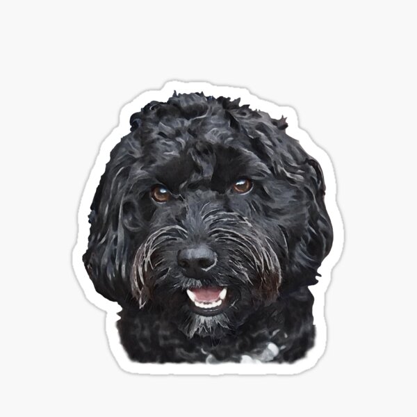 Vista previa del artículo con la obra «Perro garabato negro / cockapoo», diseñado y vendido por Happy Dog Doodles.