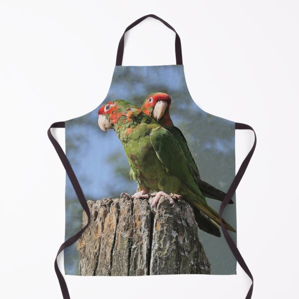 Item preview, r2395/ perroquet : Conure mitrée 2020 par Okaio Créations - Olavia-Olao designed and sold by o.okaïo.