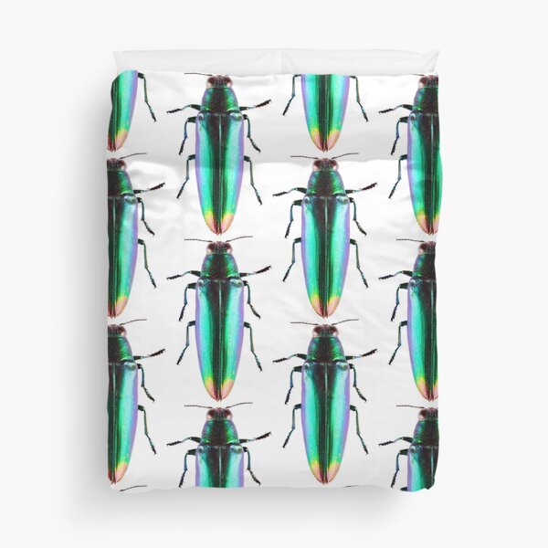 Fire Tipped Jewel beetle (Chrysochroa fulminans), green Duvet Cover
