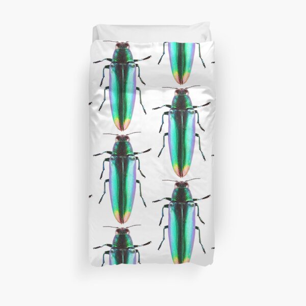 Fire Tipped Jewel beetle (Chrysochroa fulminans), green Duvet Cover