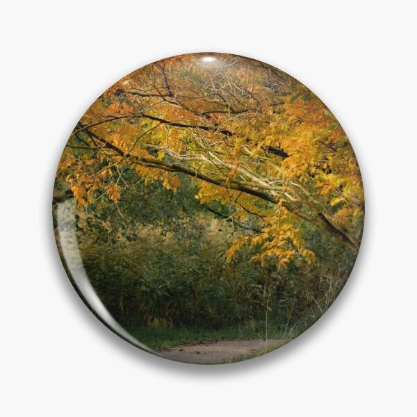 Item preview, Autumn Colours designed and sold by PhotographMassa.