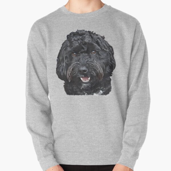 cavapoo sweatshirt