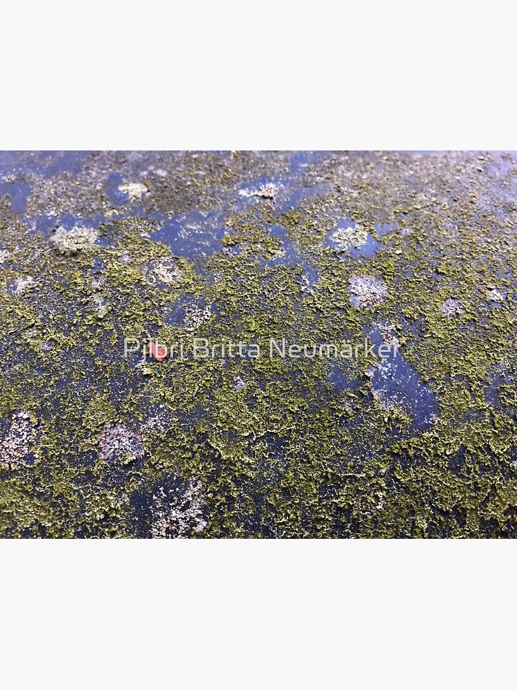 Beautyful Rust 5 von pilbri2018