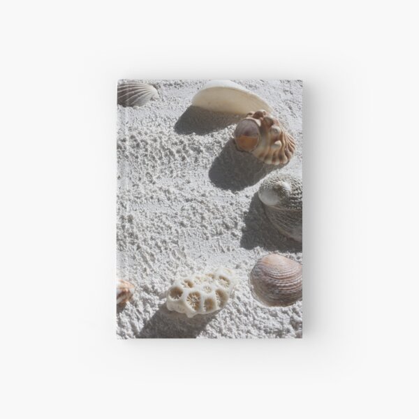 Item preview, A frame of seashells designed and sold by pinkal.