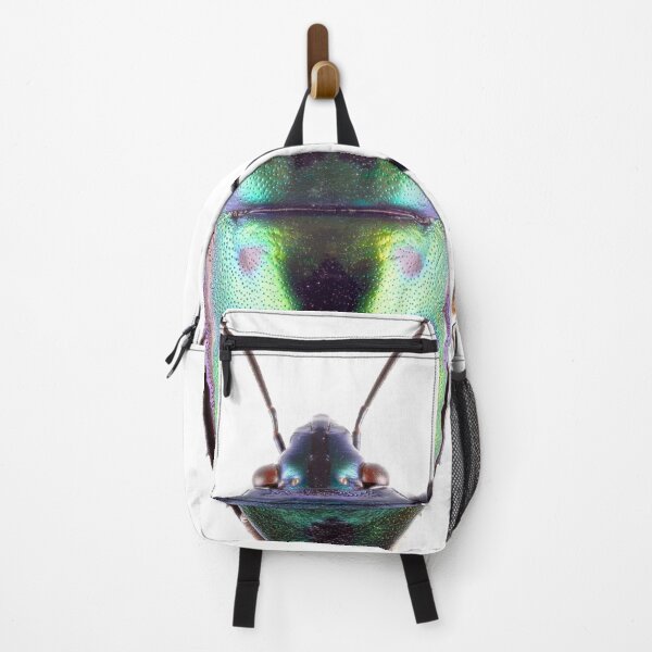 Item preview, Shield Bug (chrysocoris) designed and sold by Tim Christensen.