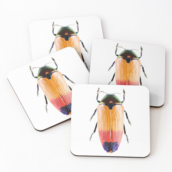 Item preview, Jewel Beetle (Metaxymorphia apicalis) designed and sold by Tim Christensen.
