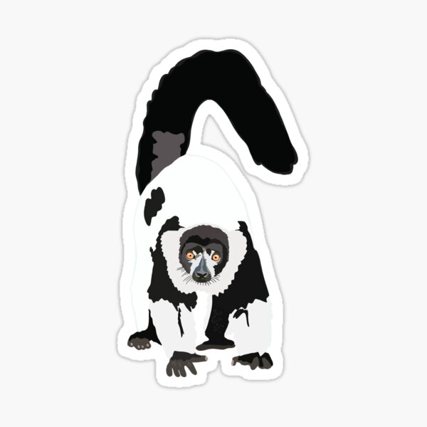 B is for Black and White Ruff Lemur,Black and White Ruffed Lemur Illustration – Primate Art for Wildlife and Nature Lovers Sticker