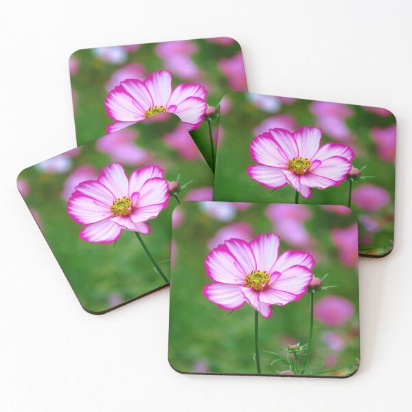 Item preview, pink cosmos flower, blossom, flowers, floral, pink designed and sold by rhnaturestyles.