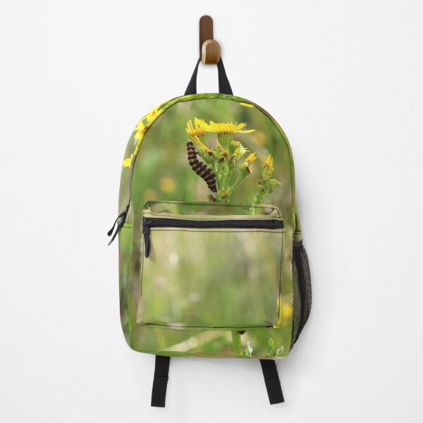 Item preview, cinnabar moth caterpillars on ragwort designed and sold by pinkal.